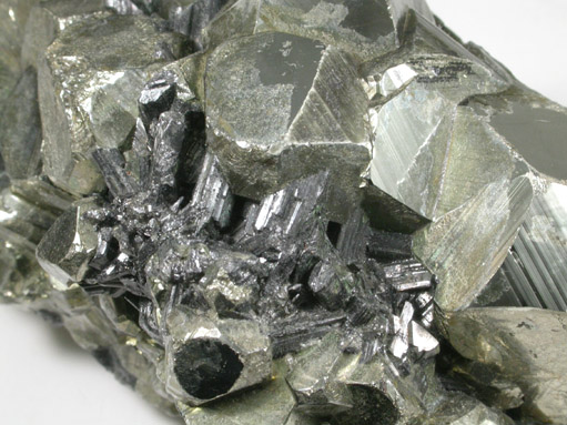 Pyrite and Enargite from Butte Mining District, Summit Valley, Silver Bow County, Montana