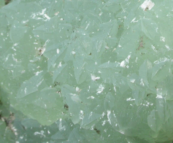 Prehnite with Laumontite and Datolite casts after Anhydrite from Paterson, Passaic County, New Jersey