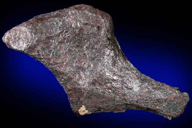 Iron Meteorite from Barringer Meteor Crater, Canyon Diablo, near Winslow, Navajo County, Arizona