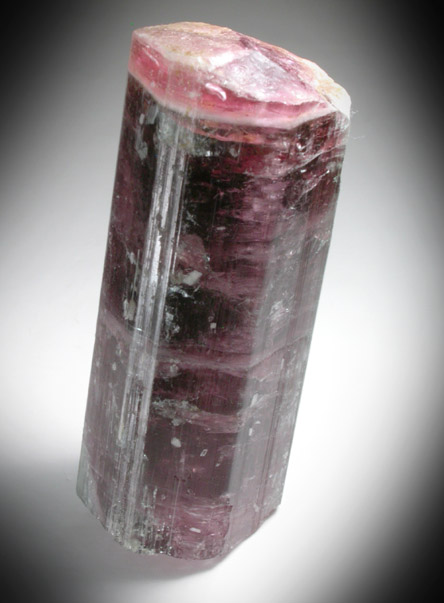 Elbaite var. Watermelon Tourmaline from Dunton Quarry, Plumbago Mountain, Hall's Ridge, Newry, Oxford County, Maine