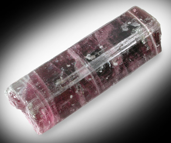 Elbaite var. Watermelon Tourmaline from Dunton Quarry, Plumbago Mountain, Hall's Ridge, Newry, Oxford County, Maine