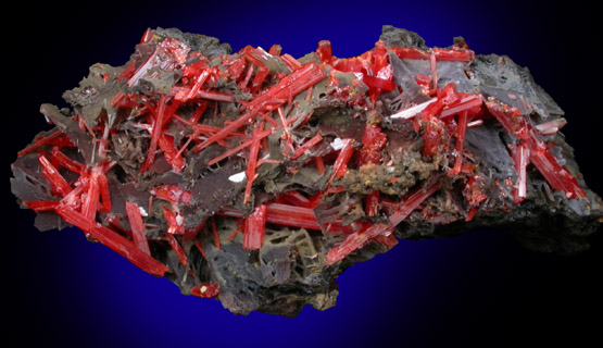 Crocoite from Adelaide Mine, Dundas, Tasmania, Australia