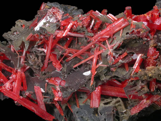 Crocoite from Adelaide Mine, Dundas, Tasmania, Australia