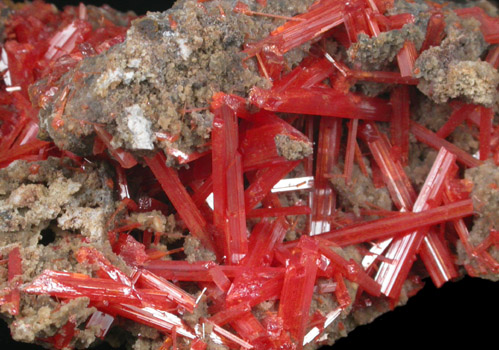 Crocoite from Adelaide Mine, Dundas, Tasmania, Australia