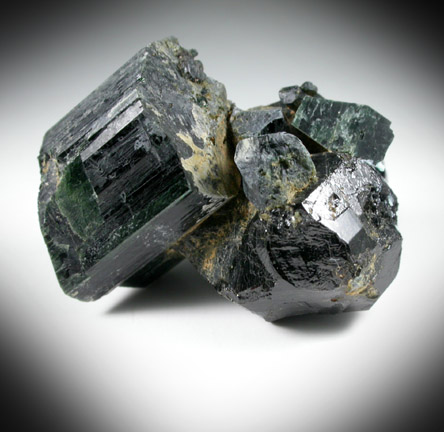 Dravite-Uvite Tourmaline with Actinolite from Power's Farm, Pierrepont, St. Lawrence County, New York