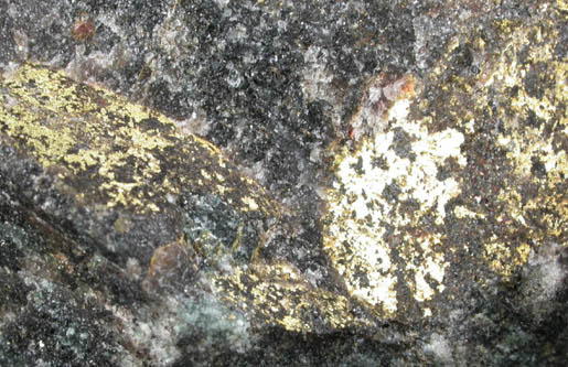 Gold in matrix from Ontario, Canada