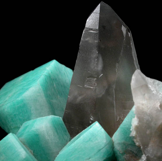 Quartz var. Smoky Quartz with Microcline var. Amazonite from Smoky Hawk Mine, Upper 40 Pocket, Florissant, Teller County, Colorado