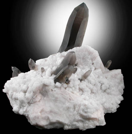 Quartz var. Smoky Quartz on Microcline from Smoky Hawk Claim, Florissant, Teller County, Colorado