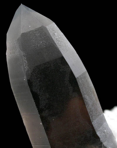 Quartz var. Smoky Quartz on Microcline from Smoky Hawk Claim, Florissant, Teller County, Colorado