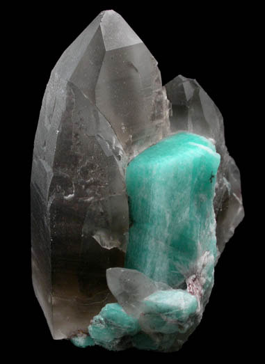 Quartz var. Smoky Quartz with Microcline var. Amazonite from Smoky Hawk Mine, Florissant, Teller County, Colorado