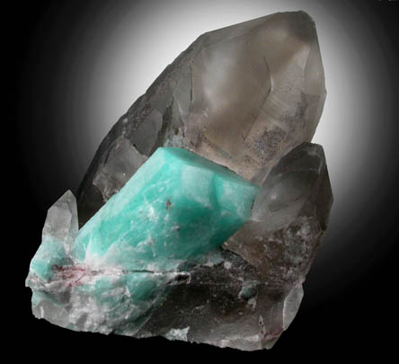 Quartz var. Smoky Quartz with Microcline var. Amazonite from Smoky Hawk Mine, Florissant, Teller County, Colorado