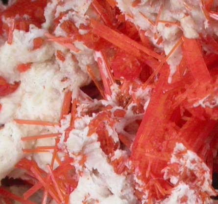 Crocoite and Gibbsite from Adelaide Mine, Dundas, Tasmania, Australia