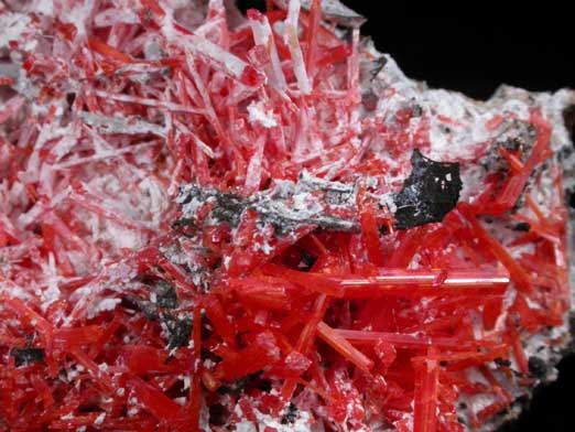 Crocoite and Gibbsite from Adelaide Mine, Dundas, Tasmania, Australia