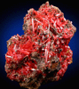 Crocoite from Adelaide Mine, Dundas, Tasmania, Australia