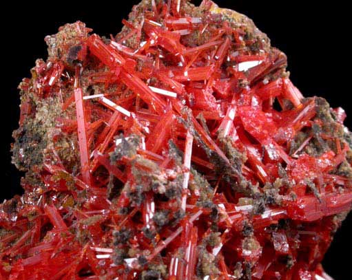 Crocoite from Adelaide Mine, Dundas, Tasmania, Australia