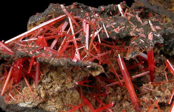 Crocoite from Adelaide Mine, Dundas, Tasmania, Australia