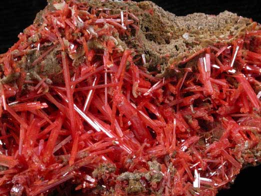 Crocoite from Adelaide Mine, Dundas, Tasmania, Australia