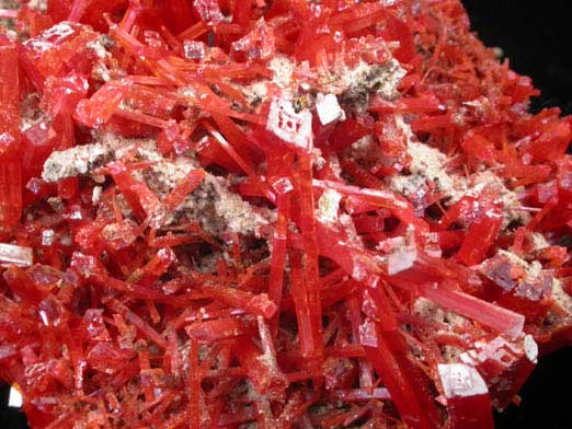 Crocoite with Gibbsite from Adelaide Mine, Dundas, Tasmania, Australia