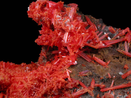 Crocoite from Adelaide Mine, Dundas, Tasmania, Australia