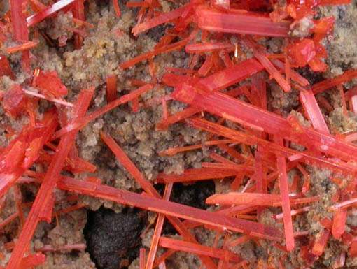 Crocoite from Adelaide Mine, Dundas, Tasmania, Australia