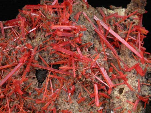 Crocoite from Adelaide Mine, Dundas, Tasmania, Australia