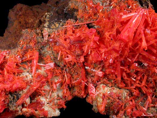 Crocoite with Gibbsite from Adelaide Mine, Dundas, Tasmania, Australia