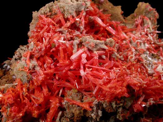 Crocoite with Gibbsite from Adelaide Mine, Dundas, Tasmania, Australia