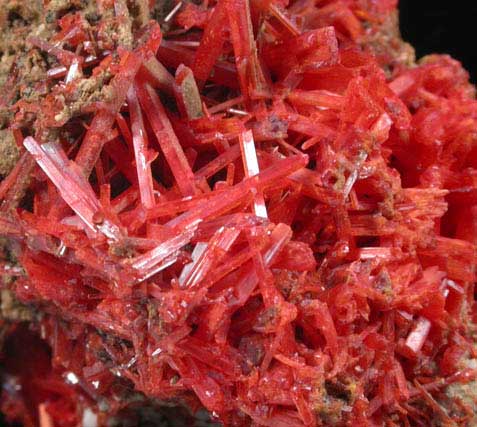 Crocoite from Adelaide Mine, Dundas, Tasmania, Australia