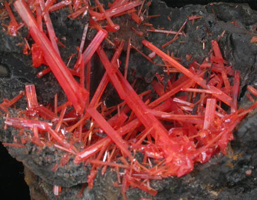 Crocoite from Adelaide Mine, Dundas, Tasmania, Australia