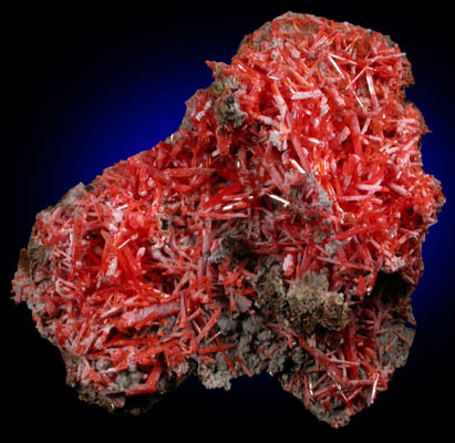 Crocoite with Gibbsite from Adelaide Mine, Dundas, Tasmania, Australia