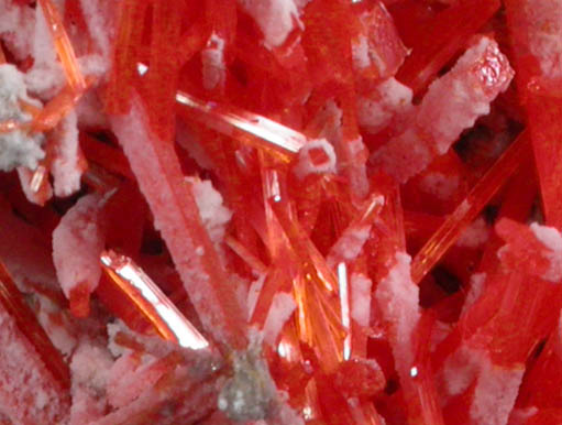 Crocoite with Gibbsite from Adelaide Mine, Dundas, Tasmania, Australia