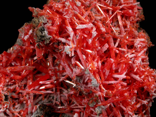 Crocoite with Gibbsite from Adelaide Mine, Dundas, Tasmania, Australia