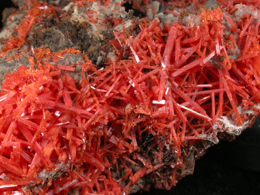 Crocoite with Gibbsite from Adelaide Mine, Dundas, Tasmania, Australia