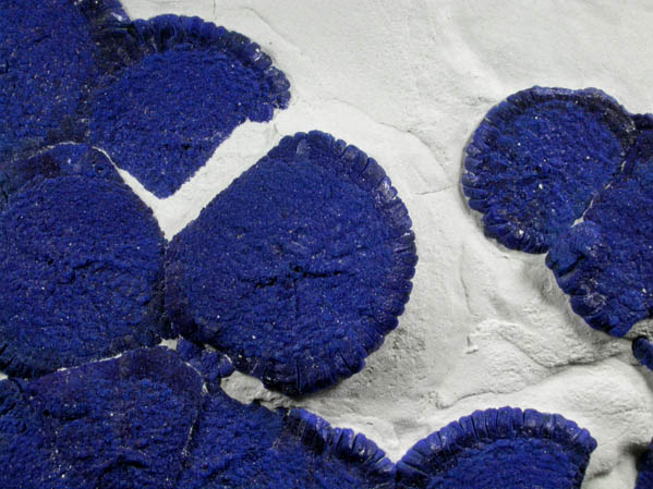 Azurite in clay matrix from Malbunka Mine, Areyonga, Northern Territory, Australia