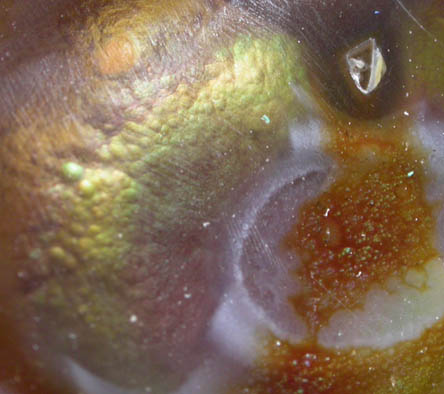 Quartz var. Fire Agate from Calvillo, Aguascalientes, Mexico