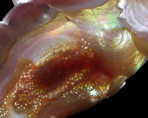 Quartz var. Fire Agate from Calvillo, Aguascalientes, Mexico