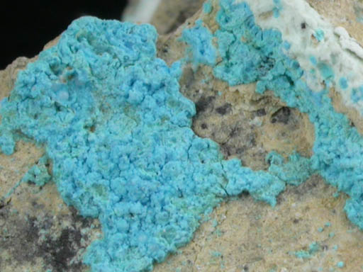 Decrespignyite-(Y) with Kamphaugite-(Y) from Olary Block, Paratto copper deposit, Yunta, South Australia, Australia (Type Locality for Decrespignyite-(Y))