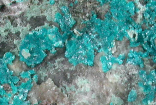 Haydeeite (IMA 2006-046) from Haydee Mine, Salar Grande, Iquique, Chile (Type Locality for Haydeeite)