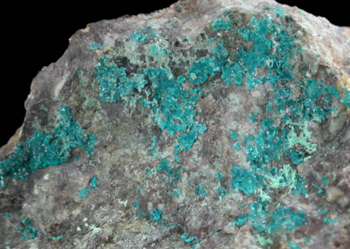 Haydeeite (IMA 2006-046) from Haydee Mine, Salar Grande, Iquique, Chile (Type Locality for Haydeeite)