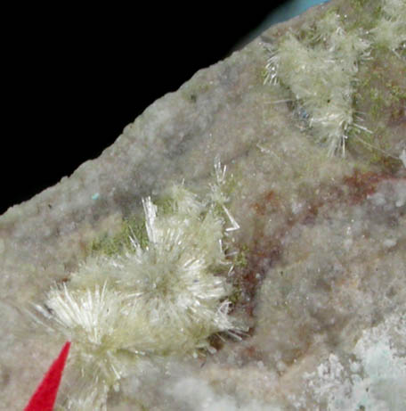 Sanromanite and Juangodoyite from Mina Santa Rosa, Iquique Province, Chile (Type Locality for Sanromanite and Juangodoyite)