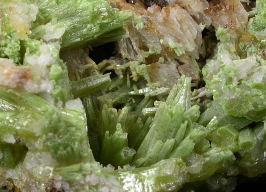 Pyromorphite from Roughton Gill South Vein, Caldbeck Fells, Cumbria, England