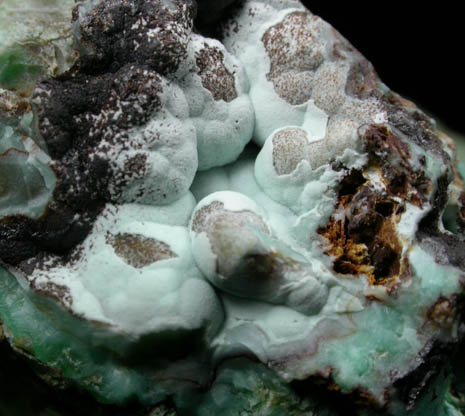 Phosphohedyphane, Chrysocolla, Mottramite from Whytes Cleuch, Wanlockhead, Scotland