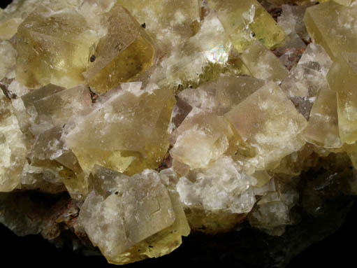 Fluorite from Gillheads Mine, near Skyreholme, North Yorkshire, England