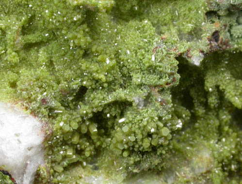 Pyromorphite from Camaderry Mine, Glendalough, County Wicklow, Ireland