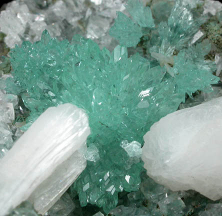 Apophyllite (rare blue-green color) with Stilbite-Ca on Calcite from undisclosed new locality, Maharashtra, India