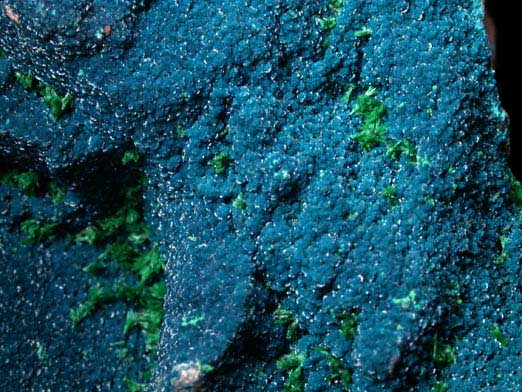 Cornetite, Malachite, Chrysocolla from L'Etoile du Congo Mine, Lubumbashi, Katanga Copperbelt, Haut-Katanga Province, Democratic Republic of the Congo (Type Locality for Cornetite)