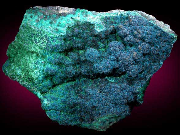 Cornetite, Malachite, Tenorite, Chrysocolla from L'Etoile du Congo Mine, Lubumbashi, Katanga Copperbelt, Haut-Katanga Province, Democratic Republic of the Congo (Type Locality for Cornetite)