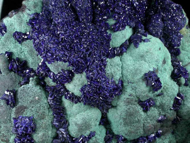 Azurite and Malachite pseudomorphs after Cuprite from Bisbee, Warren District, Cochise County, Arizona