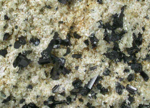 Schorl Tourmaline on Muscovite from Omaruru District, Erongo Massif, Namibia