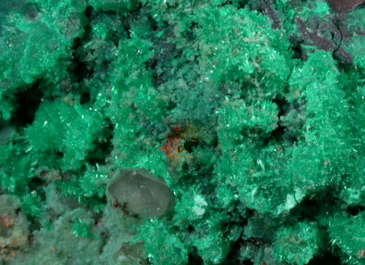 Dioptase from Mystery Hill Mine, La Paz County, Arizona